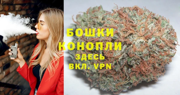 спиды Богородск