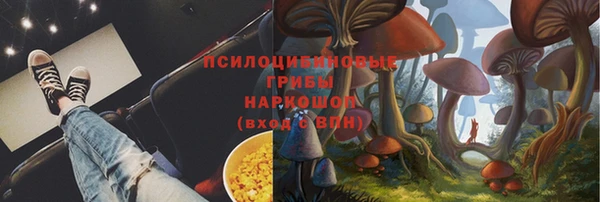 первитин Богданович