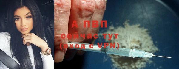 спиды Богородск