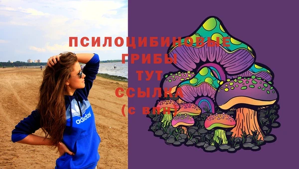 круглые Богородицк