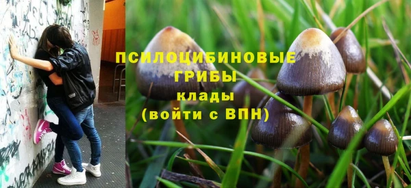 ALPHA PVP Беломорск