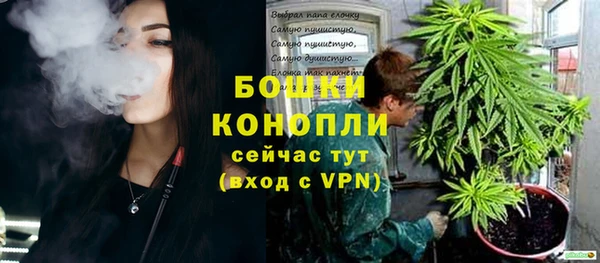 спиды Богородск
