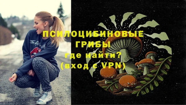 первитин Богданович