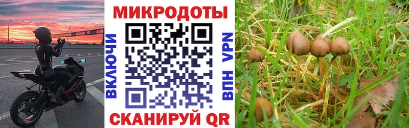 Псилоцибиновые грибы MAGIC MUSHROOMS Назарово